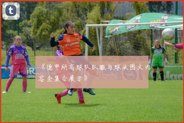 《德甲所有球队队徽与球衣图文内容全集合展示》