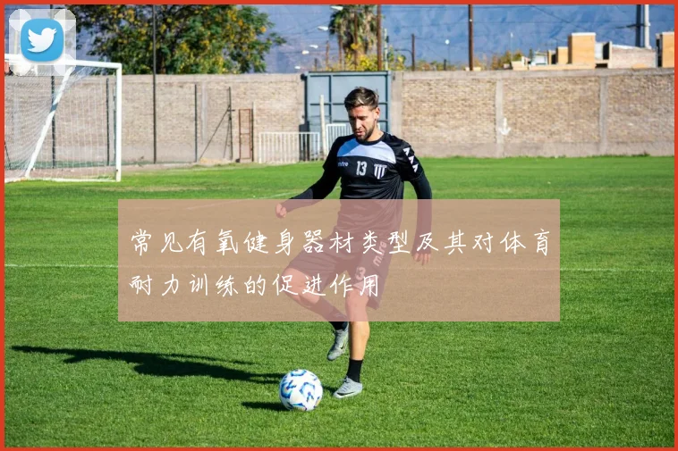 常见有氧健身器材类型及其对体育耐力训练的促进作用