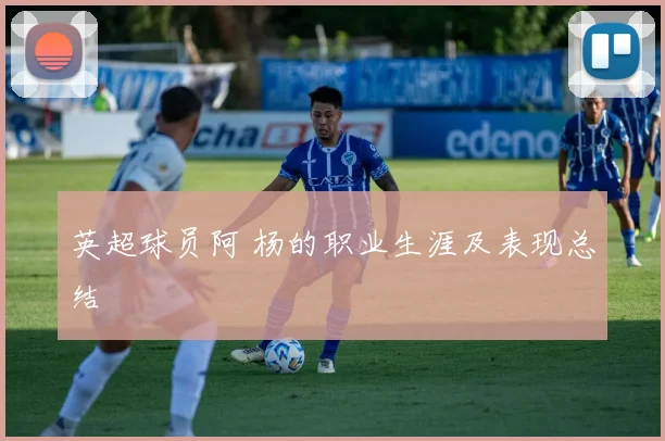 英超球员阿 杨的职业生涯及表现总结