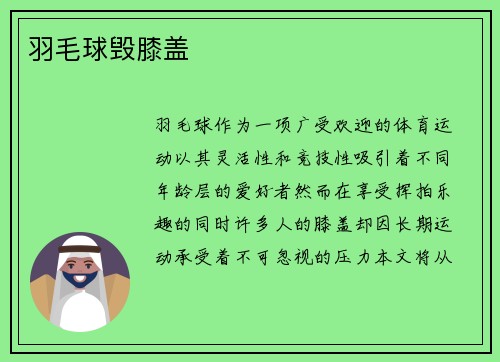 羽毛球毁膝盖
